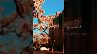 Quran ki Surah Ash-Shams [The Sun] Recitation |English Translation |Mishary Rashid 😢😢 | #shortvideo