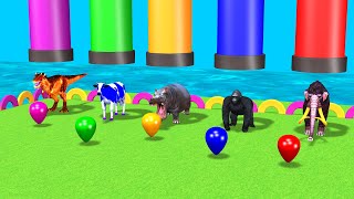 Don't Choose The Wrong Mystery Balloon With Gorilla Cow Mammoth Elephant Wild Animal Games Videos