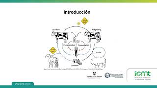 Consejo departamental de zoonosis Antioquia 2022