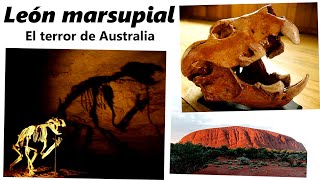 Leones marsupiales: descubre el terror de Australia