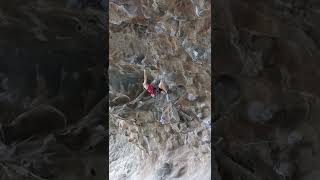 Hung like a fruit bat Mt Coolum beta video