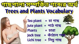 গাছপালা সম্পর্কিত শব্দের অর্থ। Trees and Plants Vocabulary. English Vocabulary. 9 minutes English.