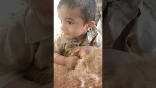 Musa ❤️#viralvideo #foryou #cholistanibachrequrbani2024 #animallover