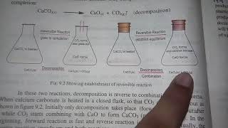 chemistry 10th chemical equilibrium and dynamic equilibrium