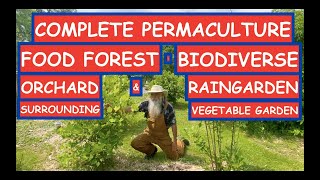 PERMACULTURE FOOD FOREST DESIGN - BIODIVERSE Orchard & Raingarden Surround & PROTECT VEGGIE Garden