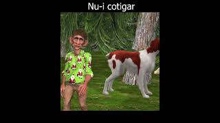 Nu-i cotigar