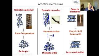 Robin Selinger (Kent State University), Modeling Mechanical Actuation in Liquid Crystal Polymers