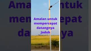 Amalan untuk mempercepat datangnya Jodoh #shorts #amalan #motivation #motivasi #muslim #muslimah