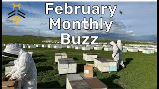 UPDATED AUDIO- February 2023 Monthly Buzz