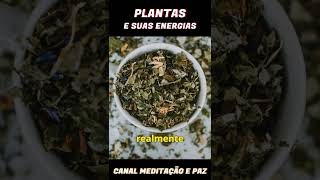 Segredo das Plantas e suas Energias - #natureza #cura #meditação #paz #dormir #plantas #amazonia