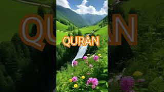 Surah Hood Ayat No 108-109 urdu translation #shortvideo #islamic#video