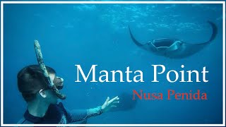 Swimming with Manta Rays | Manta Point | Nusa Penida Bali