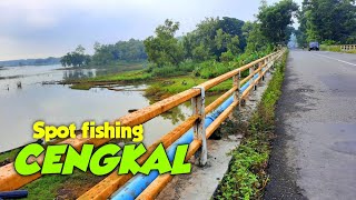 Spot Fishing CENGKAL Wuryantoro Pagi ini