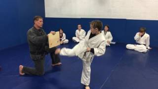 Breaking A Board for Blue Belt Test