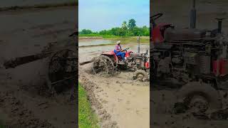 #agriculture #viralvideos #farming #massey241