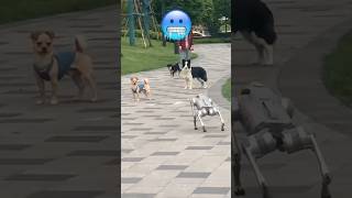 Робот Пес 🤖 ПРОТИВ Собак 🐶#шорты #робот