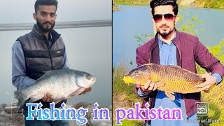 Fishing in pakistan desi fishing😱🐟 Highlights😱🎣🐟Carp fishing🐟 #fishing #hook #shikari #highlights