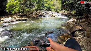 Stream Fishing | Casting Jeram | Inline Spinner Umpan Terbaik Memburu Pelian Kelah Mahseer