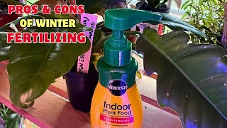 Pros & Cons of winter Fertilizing Your Houseplants