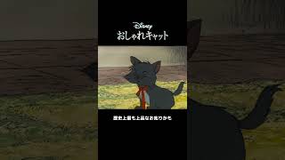 わんぱく3兄妹🩷💙❤️｜おしゃれキャット｜Disney+ (ディズニープラス）#Shorts