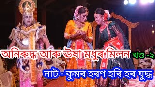 অনিৰুদ্ধ আৰু ঊষা মধুৰ মিলন  || নাট - কুমৰ হৰণ হৰি হৰ যুদ্ধ //Assamese vauna videos #vaunavlog