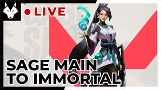 🔴 POST NERF Sage Walls to Immortal #valorant #valorantlive