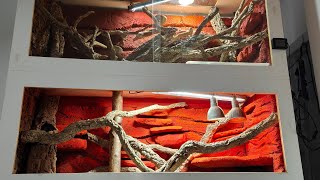 Outback Themed Vivariums, For Australian Dwarf Monitor Lizards - Finished!?