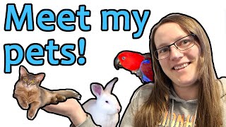 MEET ALL MY PETS 2022 - Introducing you to all 5 of my pets. A "who's who" of the Bunny Basics zoo!