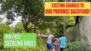 Exciting Changes To Our Province Yard & First seedlings haul | Province Life | Canada to Philippines