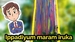 Ippadiyum maram iruka🤔🤔🤔ll natural phenomena🎑🎑(தமிழ்) #learn #withme