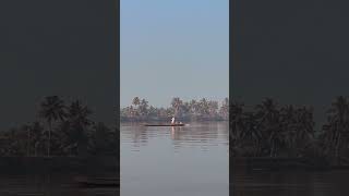 Chores of Alappuzha 🎣 #kerala #backwaters #fishing #venice #east