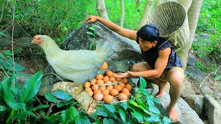 Chicken laying eggs | pick eggs and cook in sand - Eating delicious