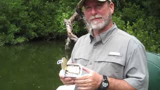 Try this simple trick for catching fish on Santee Cooper Lake