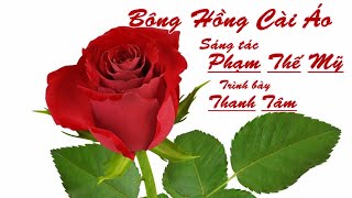 BÔNG HỒNG CÀI ÁO - THANH TÂM