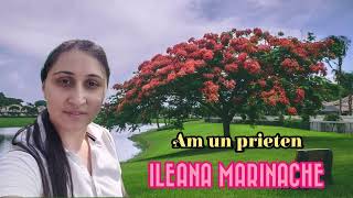 Ileana Marinache - Am un prieten (Cover)