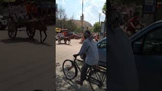 Horse Carts in India