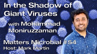 Matters Microbial #54: In the shadow of giant viruses