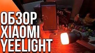 Xiaomi Yeelight и Xiaomi Pen - Обзор отличных вещей от известной компании