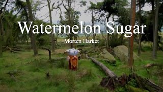 Morten Harket (Viking)-Watermelon Sugar (lyrics)