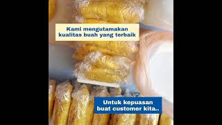 Rahasia Kualitas Durian Musang King Premium Pahang No. 1 Dunia