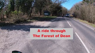 A trip through The Forest of Dean and a few thoughts.