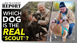 Right-Wingers' Dumb Conspiracy Theory About Tim Walz’s Dog is Unfathomably IDIOTIC