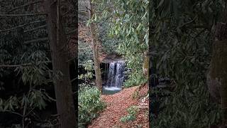 Come With Us To The Falls | Alesha Pendry #westvirginia #waterfall #twinfalls