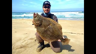 Increible Pesca Lenguado con Señuelo, la Bestia de la Temporada 2019, Lontra, Chile.