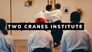 [Aikido Training Video] Aikido Technique Demonstration Cinematic Video @ Two Cranes Institute