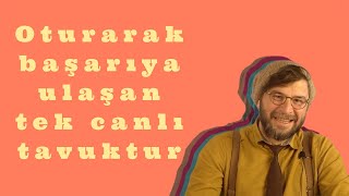 Oturarak Başarıya Ulaşan Tek Canlı Tavuktur