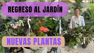 REGRESO AL JARDÍN 🪴 TRAJE NUEVAS PLANTAS!#jardín#plantastropicales#tour#