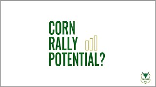 Corn Rally POTENTIAL | Looking at the past 3 years