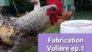 Fabrication volière ep.1