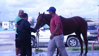 CLAUDIA SPADARO - Championship Meet Gulfstream Park